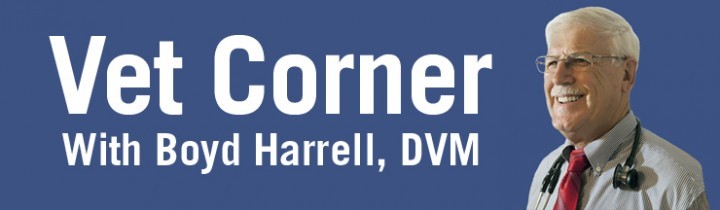 Vet Corner #4